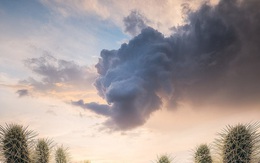 Đám mây bão ở Arizona trông giống như một con rồng khổng lồ