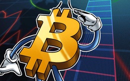Cơn ác mộng của các nhà đầu tư mới chỉ bắt đầu: Chuyên gia cảnh báo giá Bitcoin có thể thủng 28.000 USD