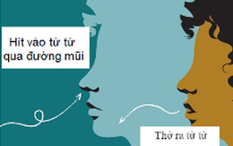 Thở thế nào tốt cho sức khỏe?