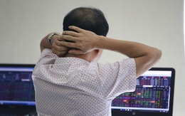 Một năm nhìn lại của nhà đầu tư F0: Cần suy ngẫm để trưởng thành hơn!