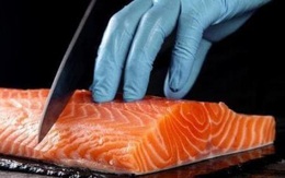 Cá hồi ngon, tốt cho sức khỏe, nhưng ăn sống có thực sự an toàn?