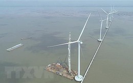 Đăng ký điện gió ngoài khơi gấp gần 26 lần dự thảo, ai sẽ được chọn?