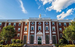 Nghiên cứu 10 năm của ĐH Harvard chỉ ra: Đây là kiểu người dễ thành công, giàu có, lương cao gấp 10 lần người bình thường