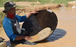 Nghề đào kim cương ở Indonesia: Đánh cược mạng sống