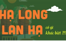 Vịnh Hạ Long và vịnh Lan Hạ có gì khác biệt?