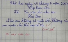 Những bài kiểm tra của học sinh 'ngây thơ' đến mức khiến người đọc tức anh ách