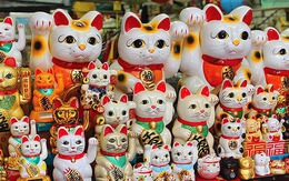 Nguồn gốc và ý nghĩa bất ngờ của 'chú mèo vẫy khách' cầu may nổi tiếng trong văn hóa Nhật Bản