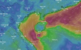 Ngư dân khu vực từ Quảng Ninh đến Quảng Ngãi tuyệt đối không ra khơi