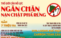 Thế giới cần nỗ lực ngăn chặn nạn chặt phá rừng