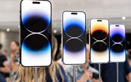 Thị trường smartphone lao dốc: Samsung, Xiaomi, Oppo ‘mất ăn mất ngủ’, chỉ một cái tên cười thầm