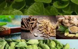 Thêm 5 thành phần tự nhiên này vào đồ uống hằng ngày để đảm bảo sức khỏe