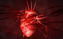 Kỳ diệu: 'Hormone tình yêu' oxytocin có thể giúp hàn gắn trái tim tan vỡ