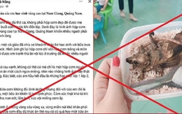 Quảng Nam làm việc với chủ fanpage đăng tin học sinh ăn cơm với thịt chuột