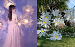 Hoa khổng lồ giá 600.000 đồng/cây đang hot, vào "mùa" phải thức đêm để làm cho kịp đơn