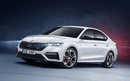 Skoda 'chốt' bán xe tại VN từ năm sau: Phủ kín mọi phân khúc, thương hiệu châu Âu, có cả xe điện đấu VinFast