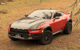 Mustang Raptor - 2 dòng đỉnh cao nhất của Ford khi kết hợp với nhau sẽ thế nào?