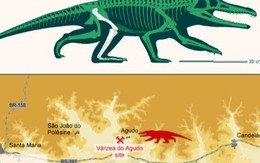 Lộ diện loài quái thú mới: Đầu cá sấu, chân như người, mình khủng long