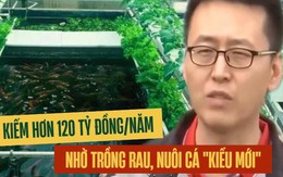 Tạo ra mô hình "nuôi cá không cần thay nước, trồng rau không cần bón phân", người đàn ông kiếm hơn 120 tỷ đồng/năm