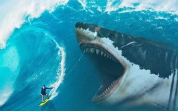 Từng cháy tài khoản, mất 1 triệu USD vì “all in – full margin”, Nhà sáng lập FinPeace chia sẻ bí kíp giúp nhà đầu tư “né” những cú sập trên thị trường