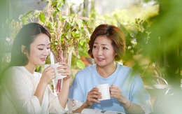 Mẹ chồng mang ra 4 cuốn sổ đỏ và đề nghị con dâu nghỉ việc