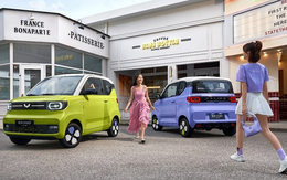 Ô tô điện bán chạy nhất thế giới có màu mới siêu "ngọt ngào", giá chỉ từ 163 triệu đồng