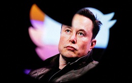 Elon Musk điều hành 5 công ty cùng lúc, gồm Twitter