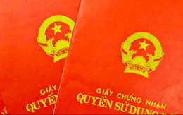 Bắt nữ doanh nhân bất động sản liên quan đường dây làm 'dịch vụ' sổ đỏ