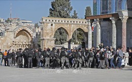 Palestine - Israel 'đôi co' về việc thiết lập hòa bình tại Trung Đông và quan điểm của Mỹ