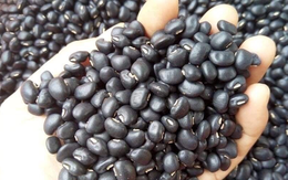 Không những ngon, đỗ đen còn mang lại 3 lợi ích sức khỏe cực lớn