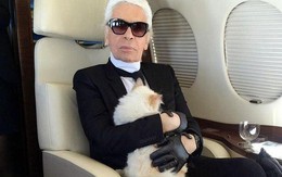 Choáng ngợp cuộc sống mèo tỷ phú của ông hoàng thời trang Karl Lagerfeld
