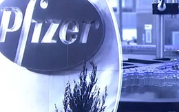 Pfizer và BioNTech thử nghiệm vaccine kết hợp phòng COVID-19 và cúm