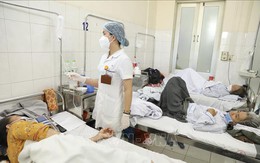 Dịch sốt xuất huyết: Hà Nội số ca vượt ngưỡng cảnh báo, TP Hồ Chí Minh áp dụng kinh nghiệm chống dịch COVID-19