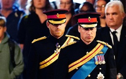 Phản ứng của Thái tử William và nhân viên hoàng gia trước bộ phim “bom tấn” kể hết của vợ chồng Harry - Meghan