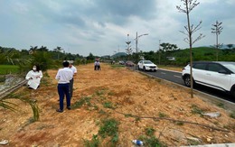 Nhà đầu tư đang quay lưng với đất nền?