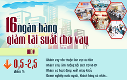 [Infographic] Chi tiết 16 ngân hàng cam kết giảm lãi suất cho vay