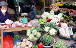 Giá rau xanh tăng mạnh, đắt ngang cả thịt cá