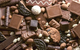 Tìm thấy kim loại nặng độc hại trong chocolate từ nhiều hãng nổi tiếng
