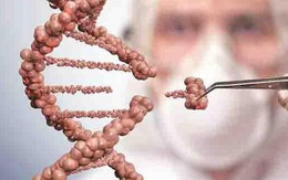 Phát hiện 155 gene mới cho thấy con người vẫn đang tiến hóa