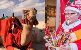 Văn hóa Giáng sinh độc lạ khắp châu Á: Người Nhật nhất định phải ăn một món của Mỹ, những chú lạc đà đóng vai trò quan trọng