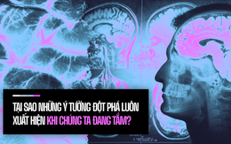 Đi tìm suối nguồn sáng tạo trong não bộ: Tại sao những ý tưởng đột phá luôn xuất hiện khi chúng ta đang tắm?