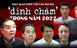 Loạt quan chức cấp cao, đại gia ‘dính chàm’ trong năm 2022