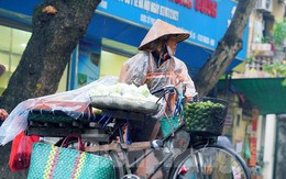 Người lao động đường phố Hà Nội quay quắt mưu sinh dưới mưa rét