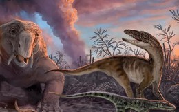 Loài người đang gặp lại vị "tử thần" khiến khủng long trỗi dậy?