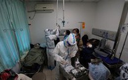 Nông thôn Trung Quốc chạy đua đối phó với COVID-19 trước thềm Tết Nguyên đán