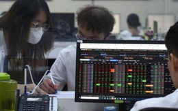 Chứng khoán tăng không ngừng nghỉ, nhà đầu tư nên làm gì?