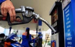 Infographic: Toàn cảnh thị trường xăng dầu Việt Nam 2022