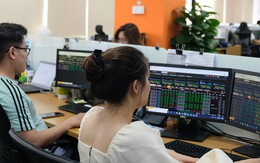 Chứng khoán vừa có tuần tăng kỷ lục từ 2009, cơ hội nào cho nhà đầu tư?