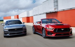 Ford Mustang và Chevrolet Camaro đang dần hết đất sống, đối mặt nguy cơ 'tuyệt chủng'