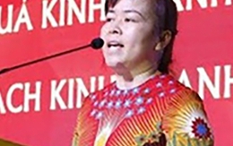 'Thâu tóm' 49.000m2 đất, Chủ tịch Vimedimex Nguyễn Thị Loan bị đề nghị truy tố