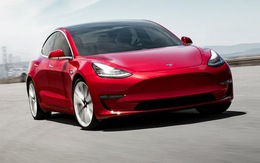 Tesla sụt giảm mạnh thị phần: Tín hiệu tích cực của thị trường ô tô điện